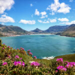 The-view-from-Chapmans-Peak-Drive-Cape-Town-South-Africa
