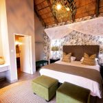 Shearwater explorer Village room